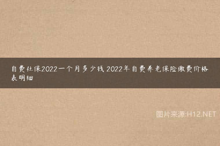 自费社保2022一个月多少钱 2022年自费养老保险缴费价格表明细