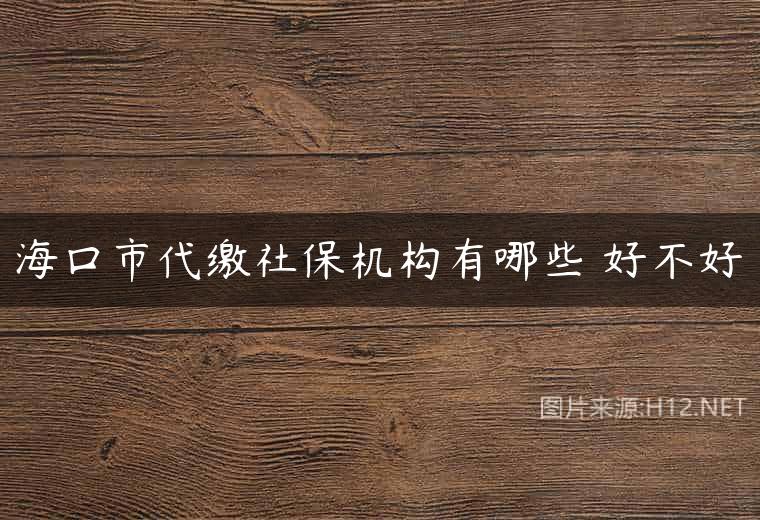 海口市代缴社保机构有哪些 好不好