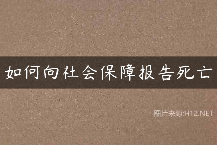如何向社会保障报告死亡