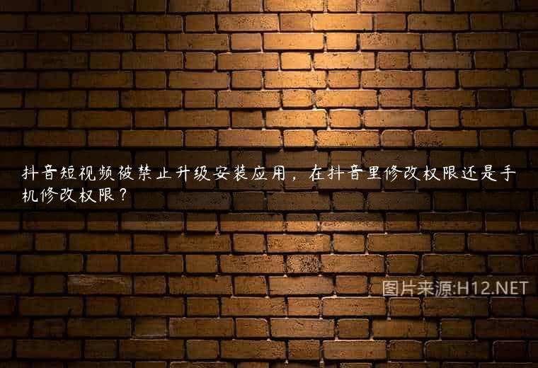 抖音短视频被禁止升级安装应用，在抖音里修改权限还是手机修改权限？