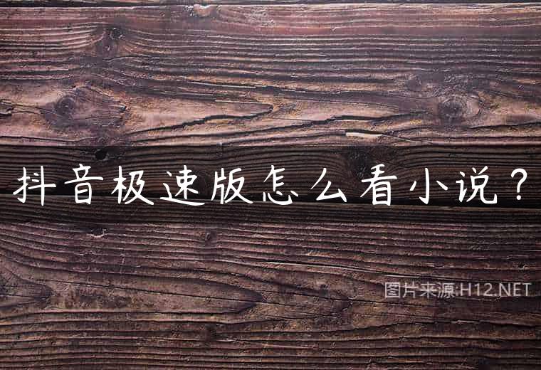抖音极速版怎么看小说？