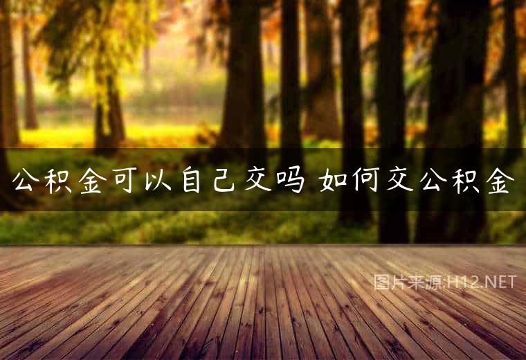 公积金可以自己交吗 如何交公积金