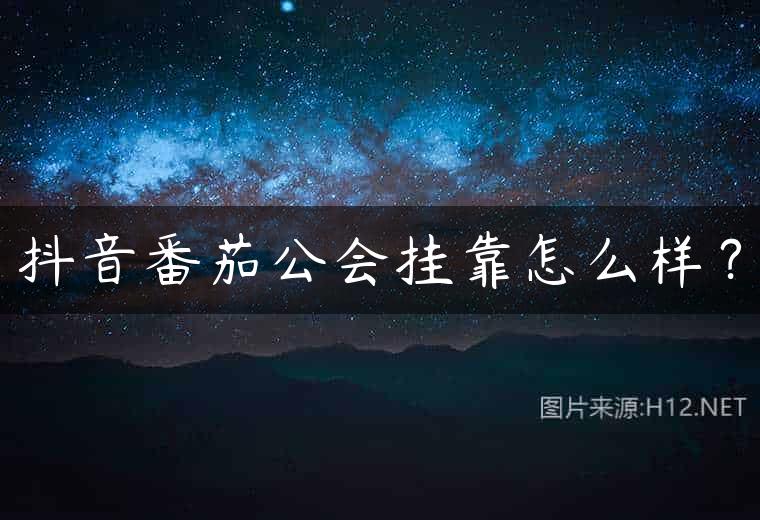 抖音番茄公会挂靠怎么样？