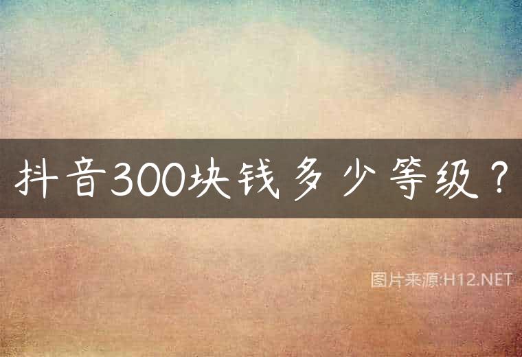 抖音300块钱多少等级？
