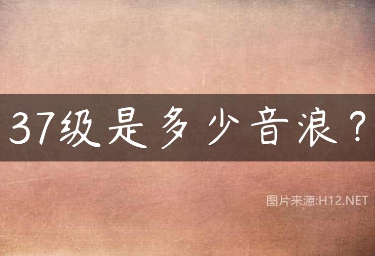 37级是多少音浪？