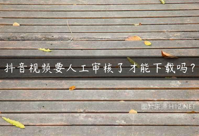 抖音视频要人工审核了才能下载吗？