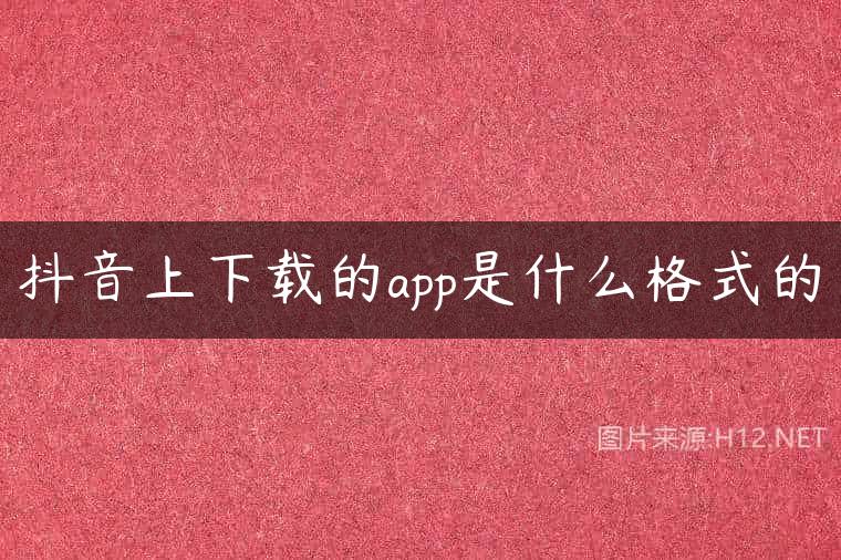 抖音上下载的app是什么格式的