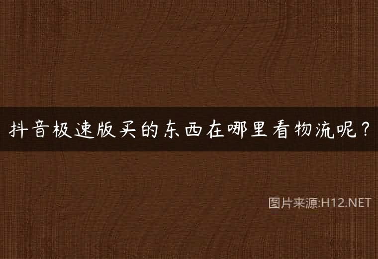 抖音极速版买的东西在哪里看物流呢？