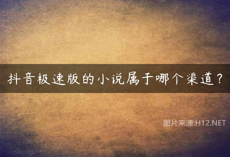 抖音极速版的小说属于哪个渠道？