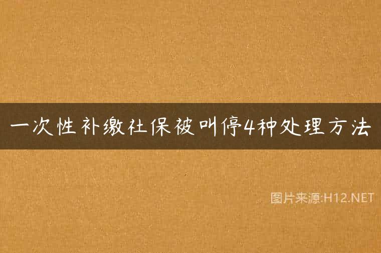 一次性补缴社保被叫停4种处理方法