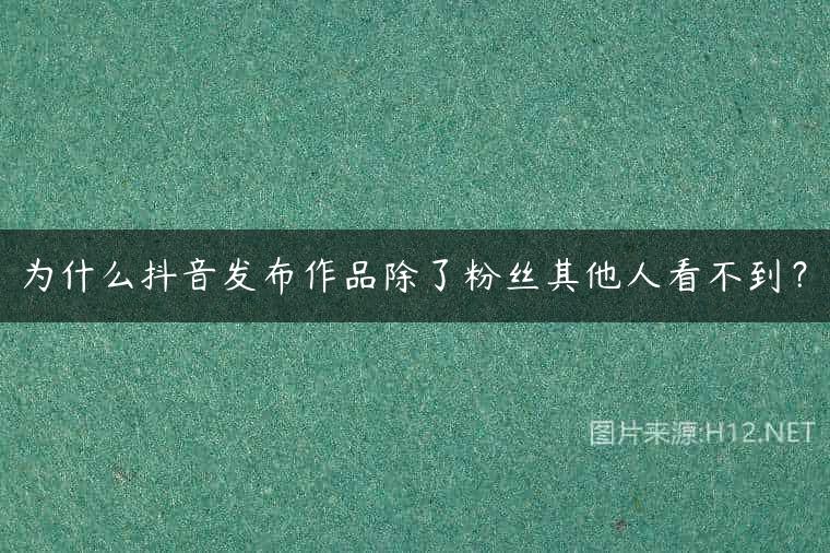 为什么抖音发布作品除了粉丝其他人看不到？