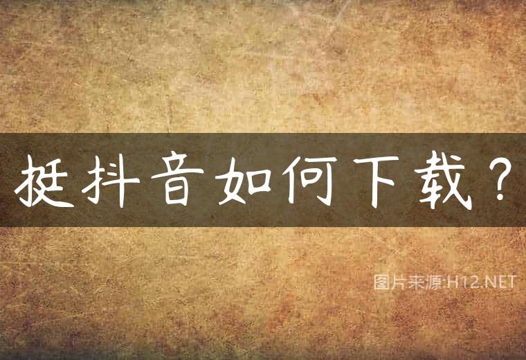 挺抖音如何下载？