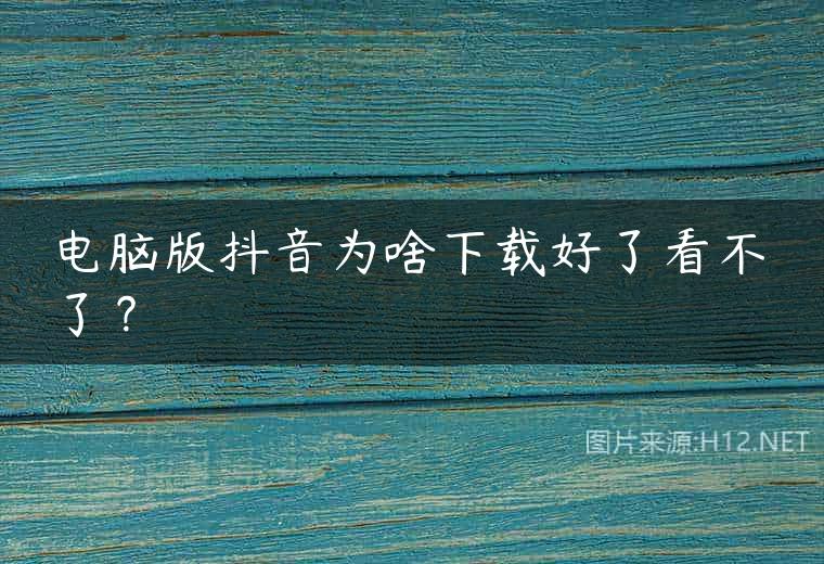 电脑版抖音为啥下载好了看不了？