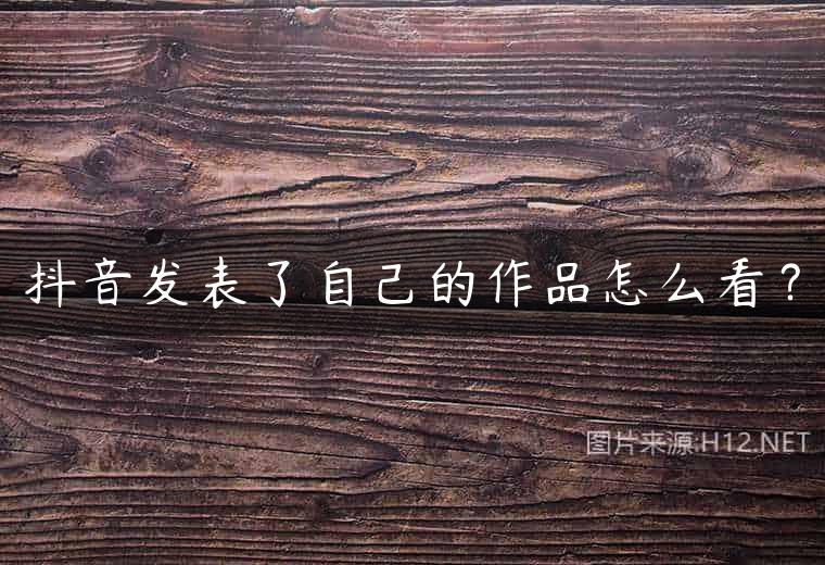 抖音发表了自己的作品怎么看？