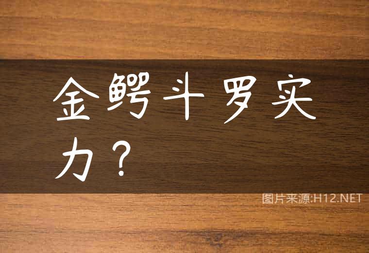 金鳄斗罗实力？