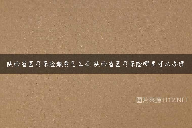 陕西省医疗保险缴费怎么交 陕西省医疗保险哪里可以办理