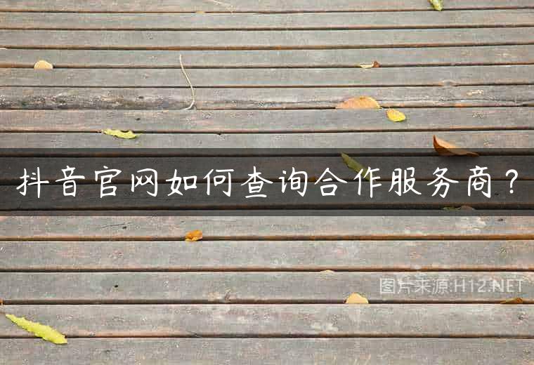 抖音官网如何查询合作服务商？