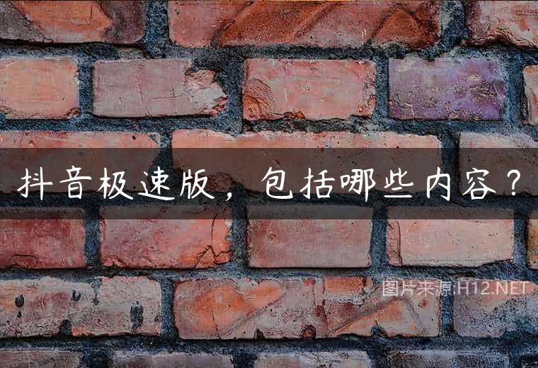 抖音极速版，包括哪些内容？