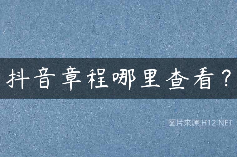 抖音章程哪里查看？