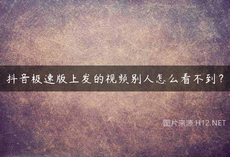 抖音极速版上发的视频别人怎么看不到？