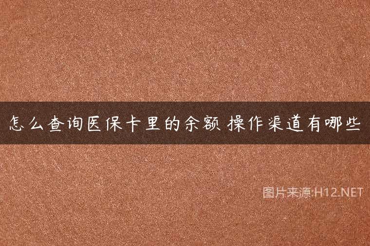 怎么查询医保卡里的余额 操作渠道有哪些