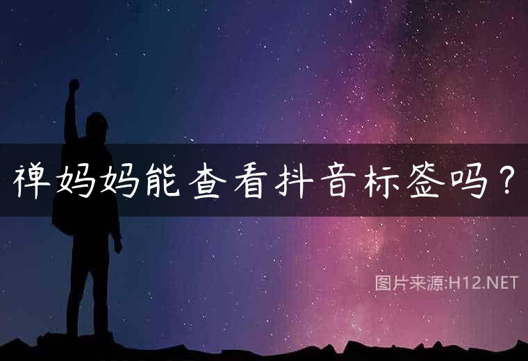 禅妈妈能查看抖音标签吗？