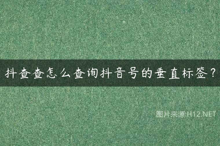 抖查查怎么查询抖音号的垂直标签？
