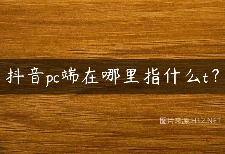 抖音pc端在哪里指什么t？
