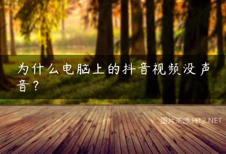 为什么电脑上的抖音视频没声音？
