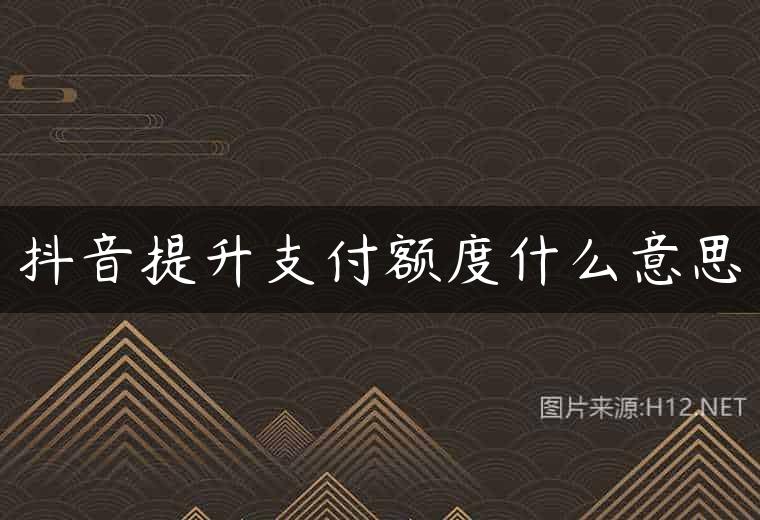 抖音提升支付额度什么意思