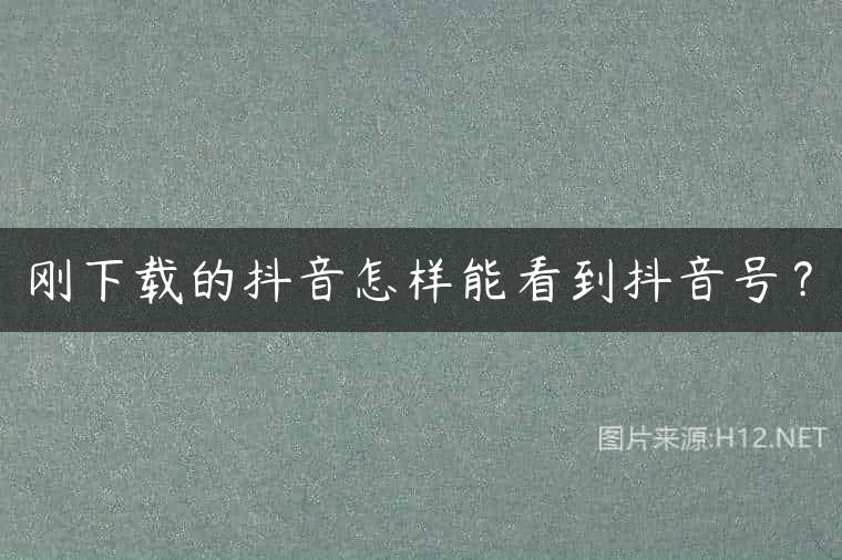 刚下载的抖音怎样能看到抖音号？