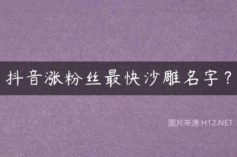 抖音涨粉丝最快沙雕名字？