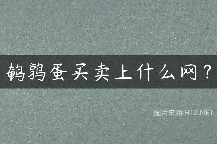 鹌鹑蛋买卖上什么网？