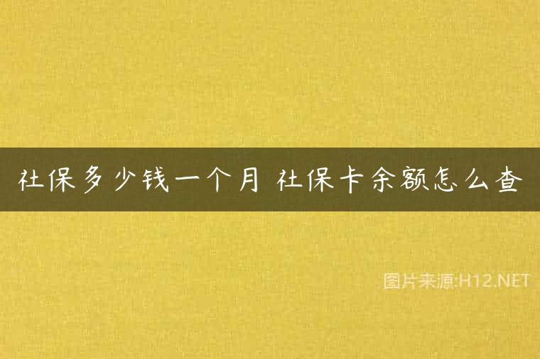 社保多少钱一个月 社保卡余额怎么查