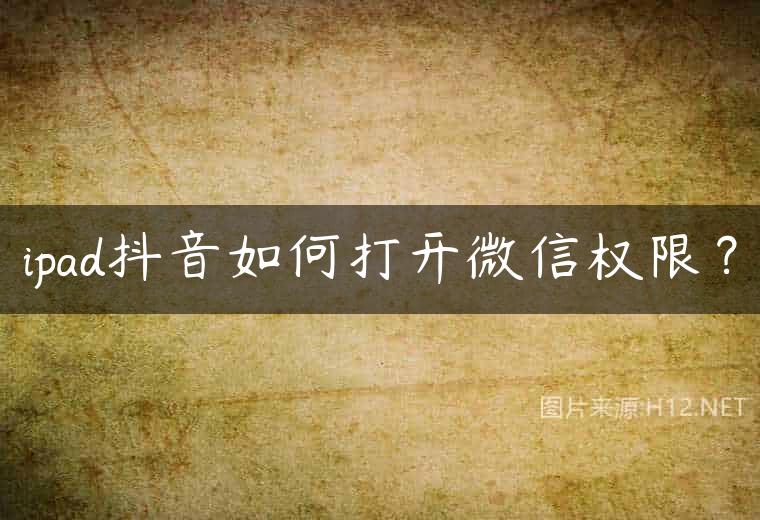 ipad抖音如何打开微信权限？