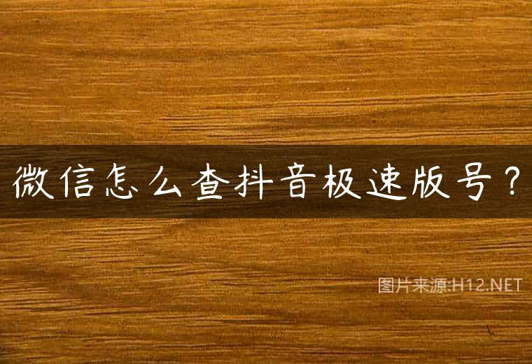 微信怎么查抖音极速版号？