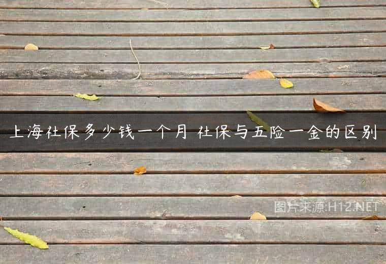 上海社保多少钱一个月 社保与五险一金的区别