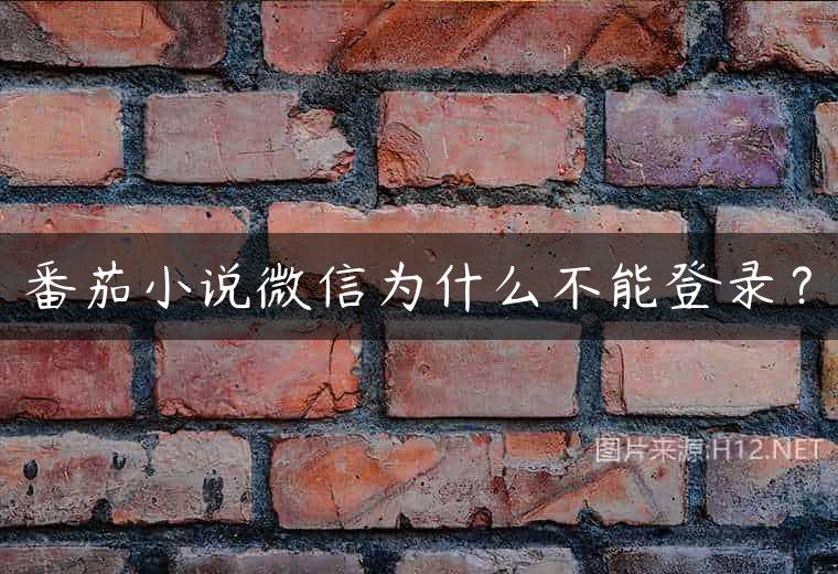 番茄小说微信为什么不能登录？