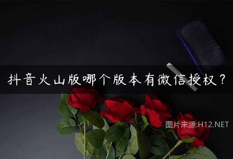 抖音火山版哪个版本有微信授权？