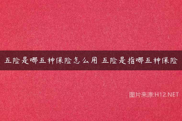 五险是哪五种保险怎么用 五险是指哪五种保险