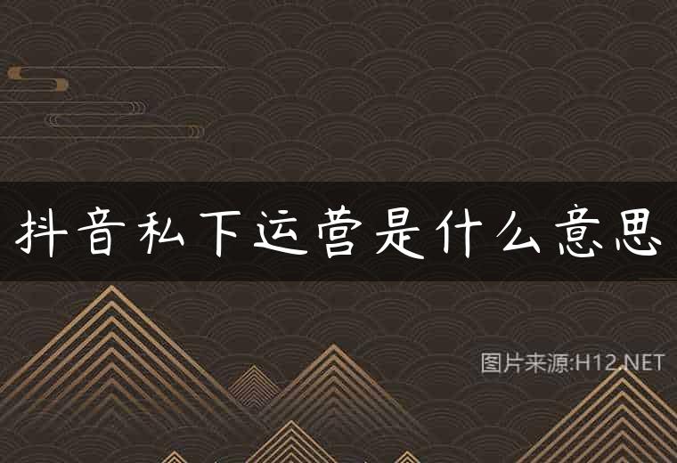抖音私下运营是什么意思
