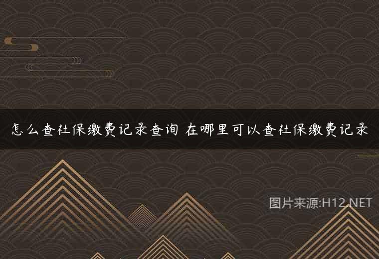 怎么查社保缴费记录查询 在哪里可以查社保缴费记录