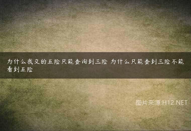 为什么我交的五险只能查询到三险 为什么只能查到三险不能看到五险