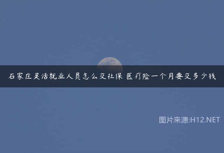 石家庄灵活就业人员怎么交社保 医疗险一个月要交多少钱