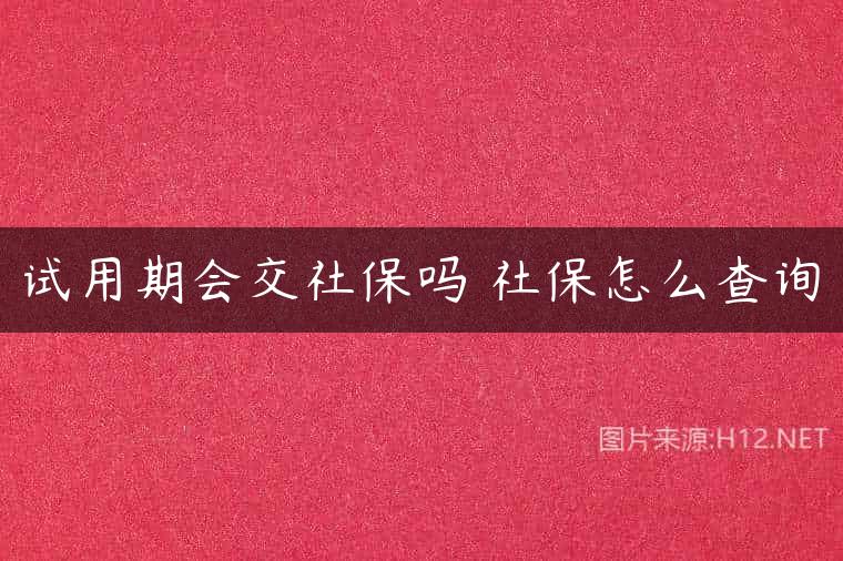 试用期会交社保吗 社保怎么查询