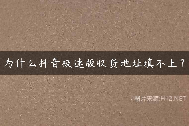 为什么抖音极速版收货地址填不上？