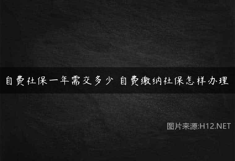 自费社保一年需交多少 自费缴纳社保怎样办理