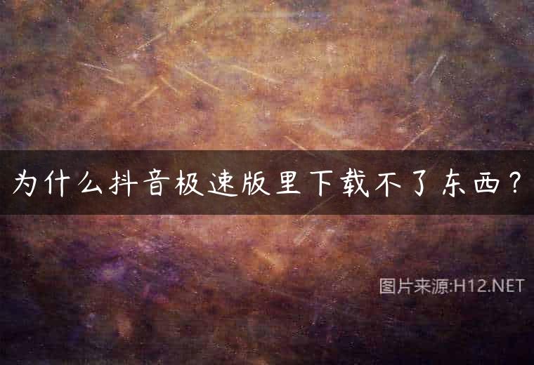 为什么抖音极速版里下载不了东西？