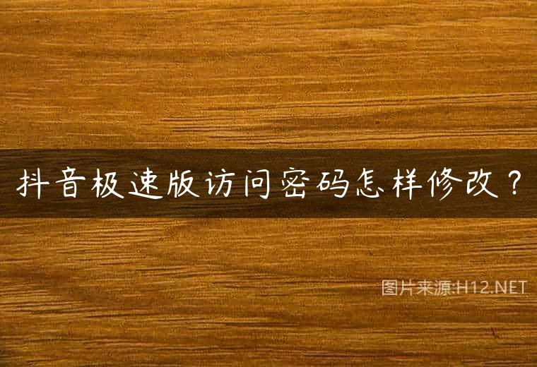 抖音极速版访问密码怎样修改？