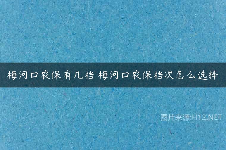 梅河口农保有几档 梅河口农保档次怎么选择
